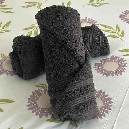 Poppy-ideally Located, Next Station,gd Palais&city *