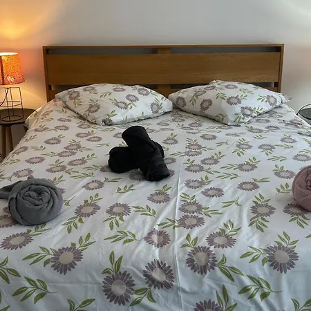 Poppy-ideally Located, Next Station,gd Palais&city * Lilla