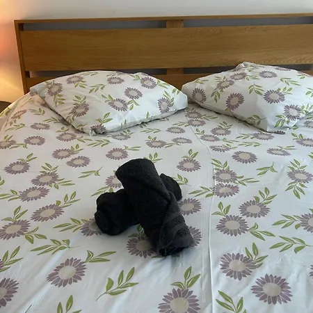 Poppy-ideally Located, Next Station,gd Palais&city