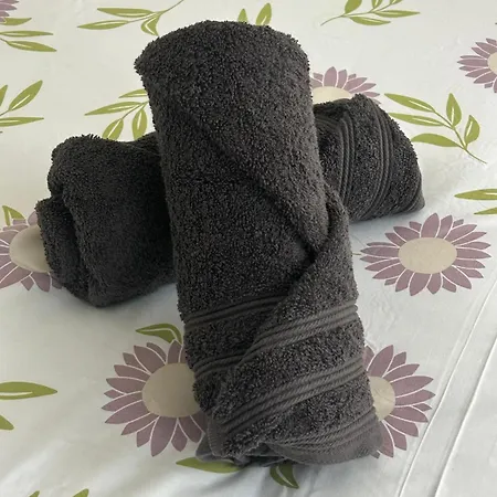Poppy-ideally Located, Next Station,gd Palais&city *