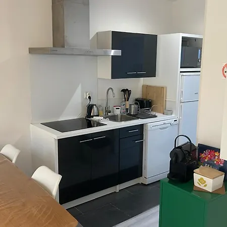 Poppy-ideally Located, Next Station,gd Palais&city Apartment *